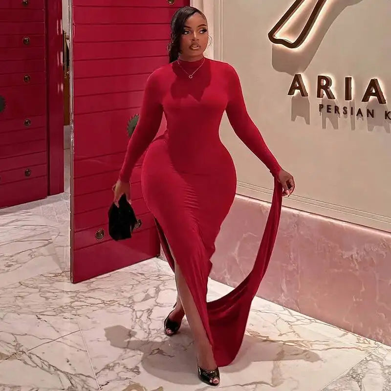 Linsey Turtleneck Maxi Dress