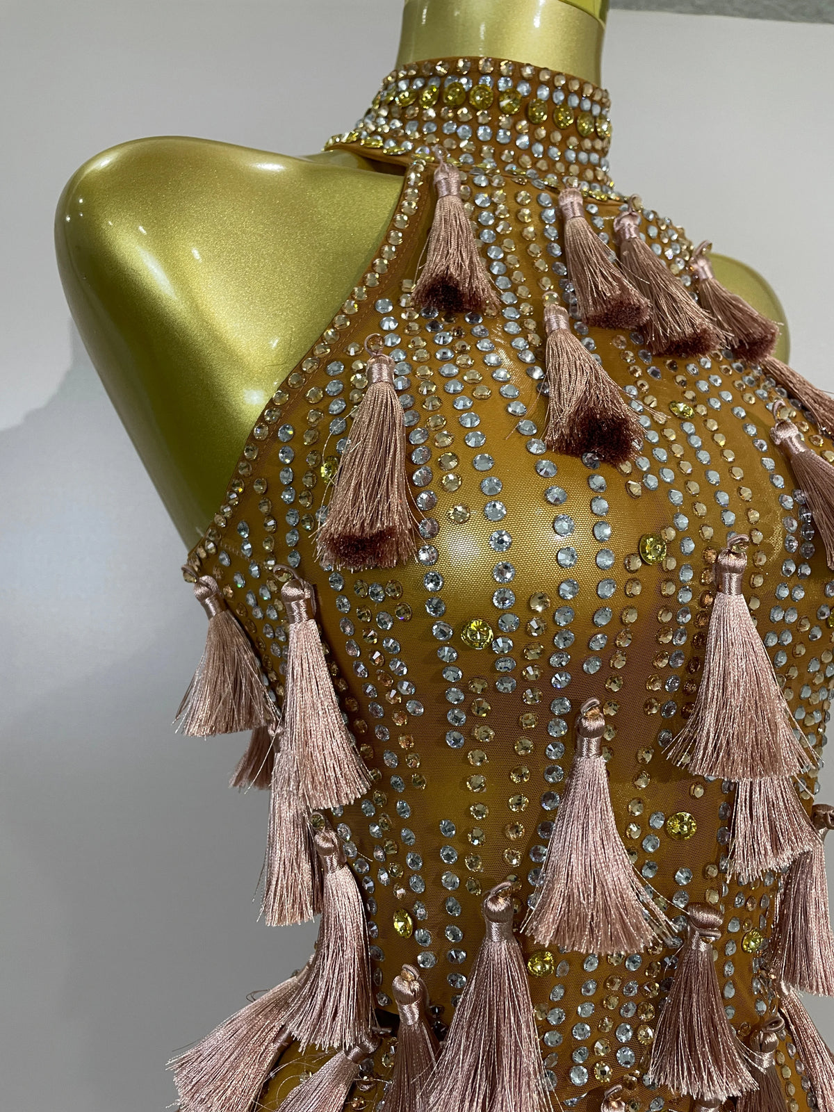 Olanda Mesh Bodysuit Tassel Dress