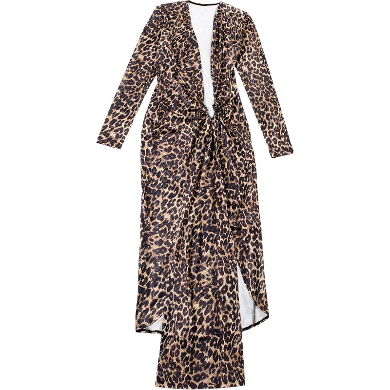 Leopard V-Neck Ruched Dress