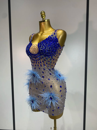 Diane Feather Mini Dress