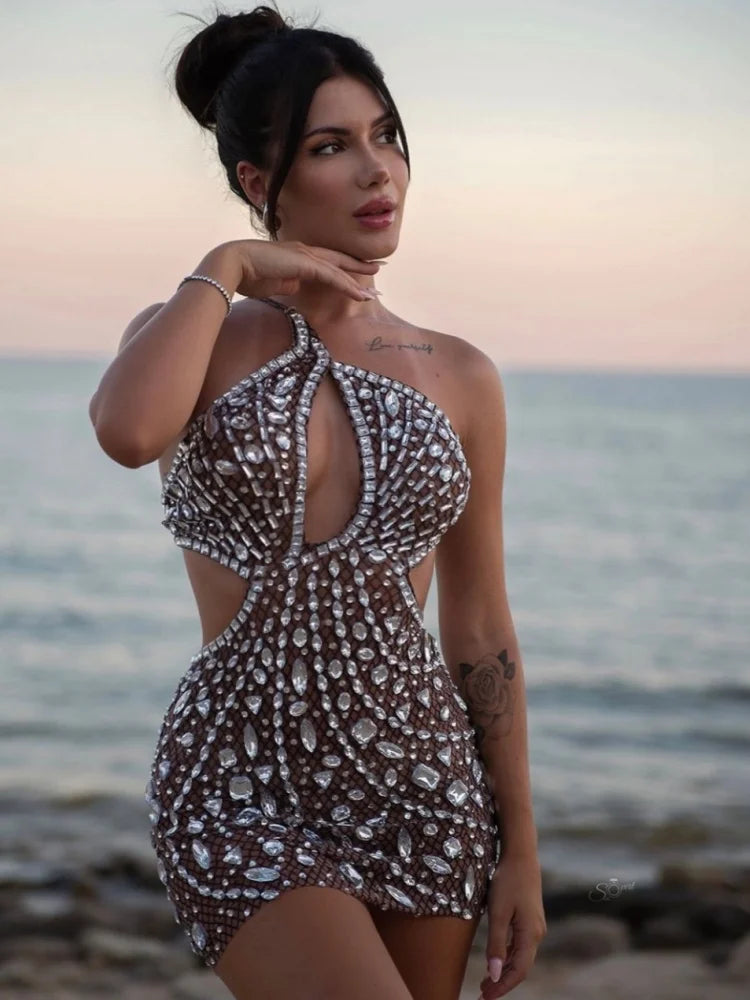 Anaya Mesh Sequins Mini Dress