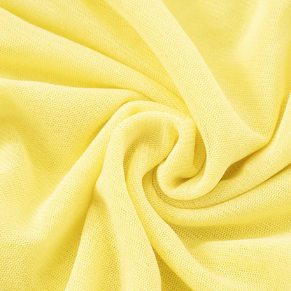 Michella Sheer Pleated Mini Dress