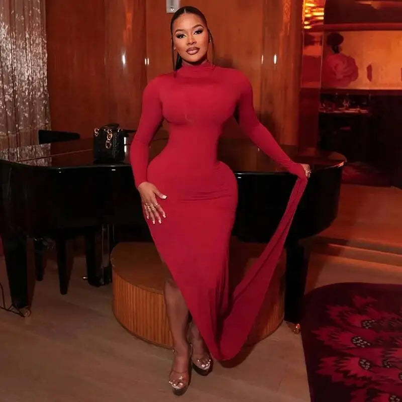 Linsey Turtleneck Maxi Dress