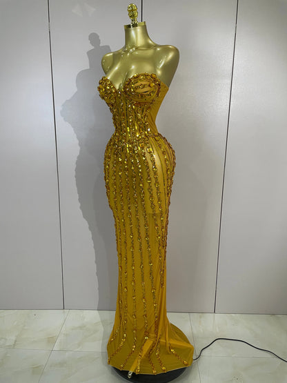 Atacia Elegant Mesh Maxi Dress