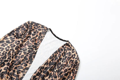 Leopard V-Neck Ruched Dress