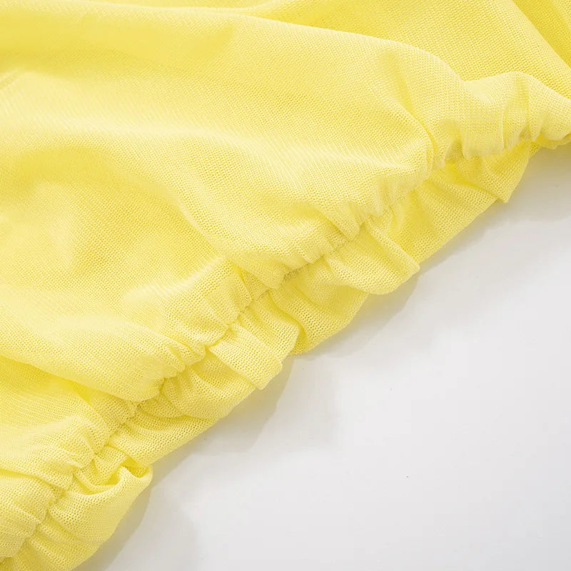 Michella Sheer Pleated Mini Dress