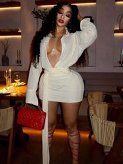 Amelia Sheer Shirt Mini Dress