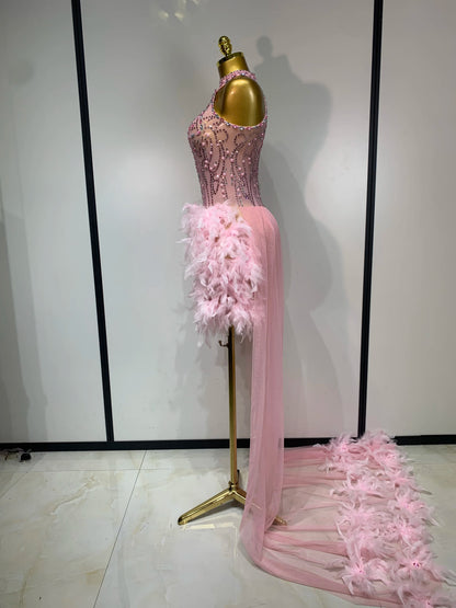Pink Feather Mesh Maxi Dress