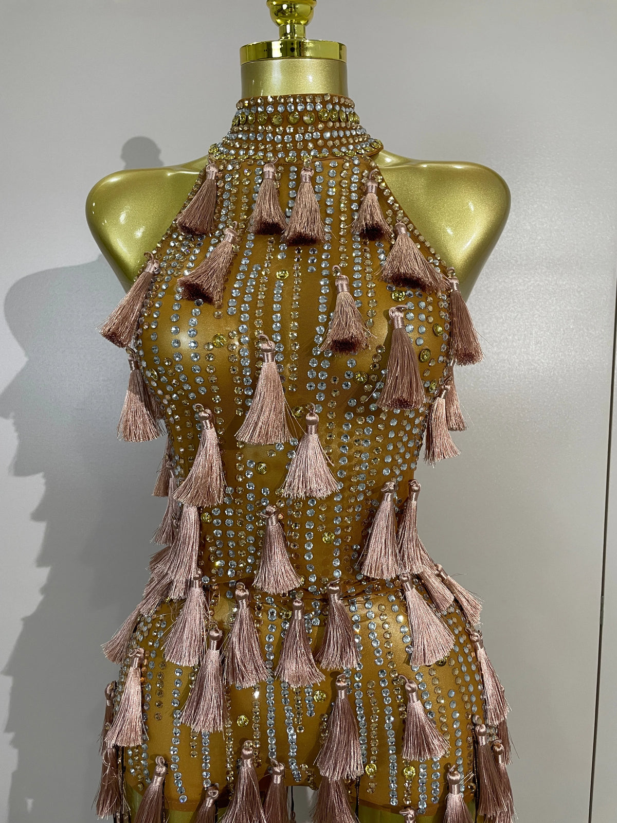 Olanda Mesh Bodysuit Tassel Dress