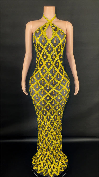 Abi Rhinestone Mesh Maxi Dress