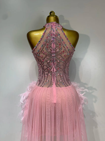 Pink Feather Mesh Maxi Dress