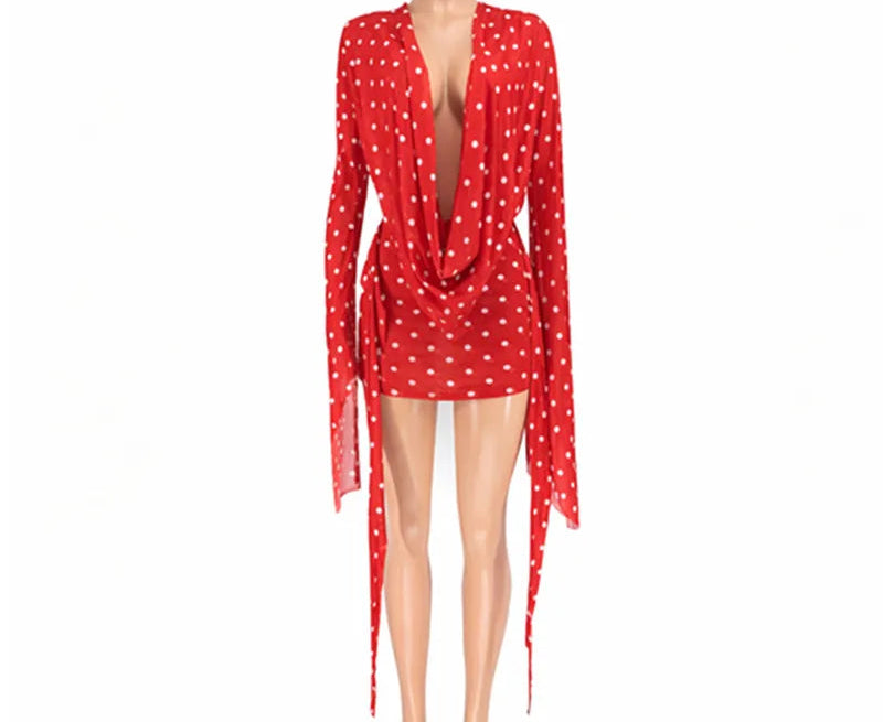 Polka Dot Print Mini Dress