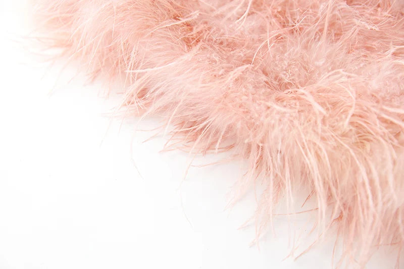 Sweet Pink Feather Set Fashion Closet Clothing