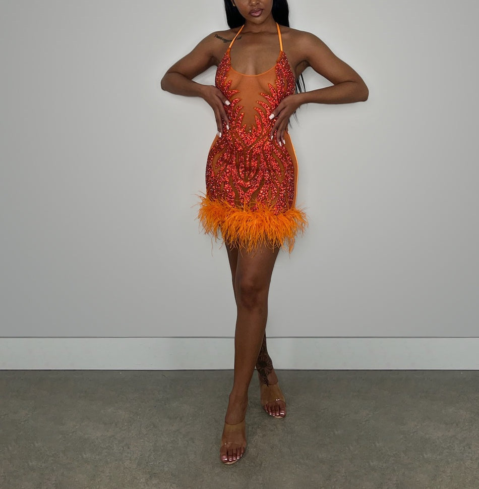 The One Crystal Feather Mini Dress Fashion Closet Clothing