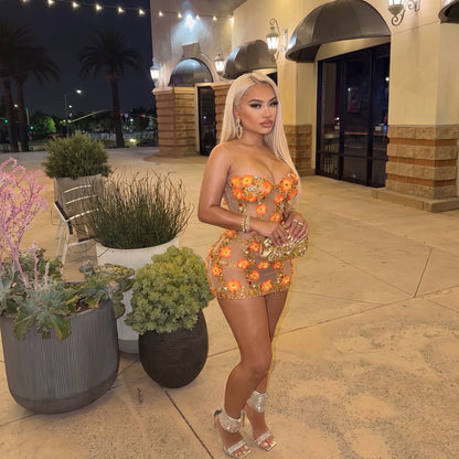 Susan Rhinestone Flower Mesh Mini Dress