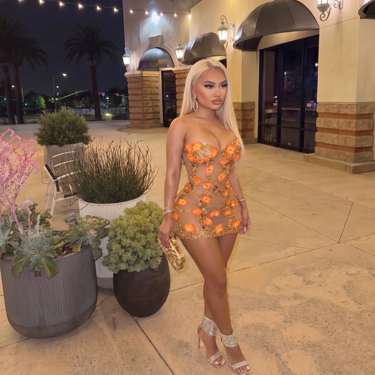 Susan Rhinestone Flower Mesh Mini Dress