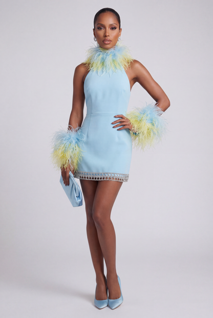 The Drama Feather Mini Dress