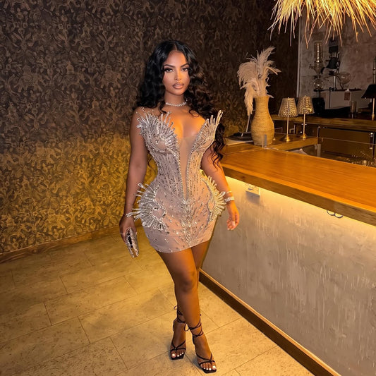 Zenda Mesh Mini Dress