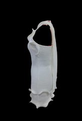 Sammy Knit Ruffle Edge Dress