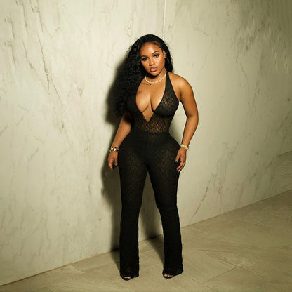 Ali Mesh Jumpsuit