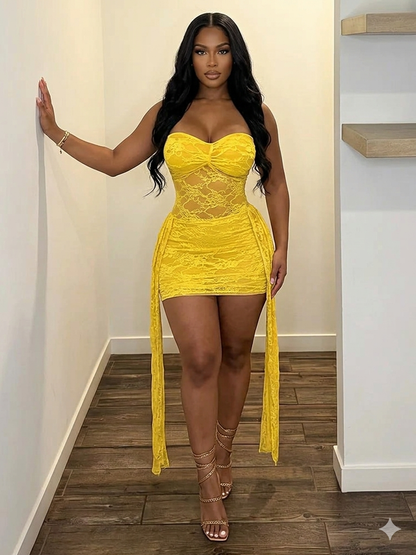 Lili Mesh Tassel Dress