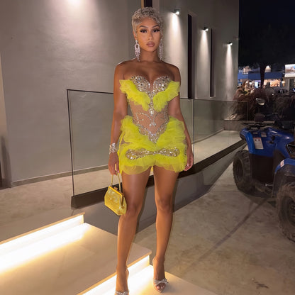 Pauline Mesh Ruffled Mini Dress