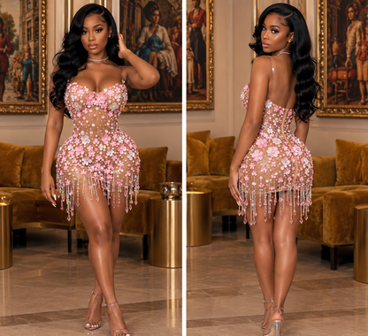 Shawnie Mesh Mini Dress