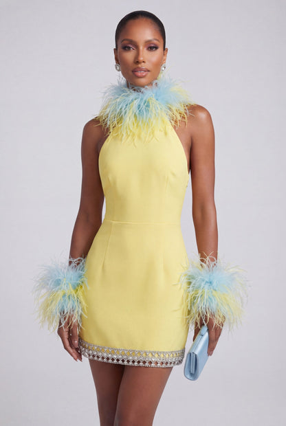 The Drama Feather Mini Dress